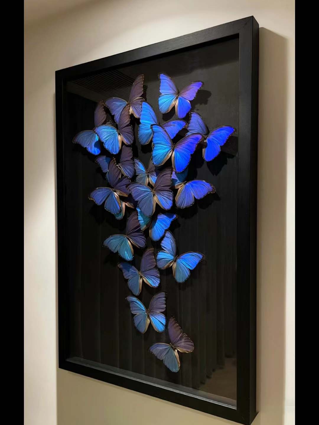 What is it called when you frame butterflies?