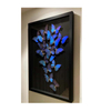 Buy Butterfly Frame Hamadryas Laodamia Suppliers & Wholesalers - CF Butterfly