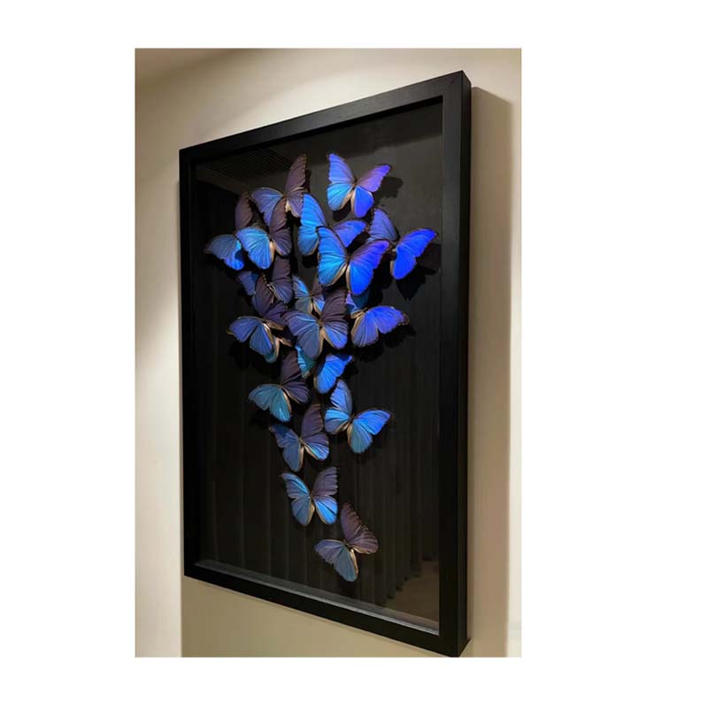 Buy Butterfly Frame Phoebis Philea Suppliers & Wholesalers - CF Butterfly