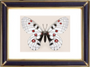 Parnassius Nomion Butterfly Suppliers & Wholesalers - CF Butterfly