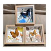 Buy Butterfly Frame Yellow Pansy Butterfly Suppliers & Wholesalers - CF Butterfly